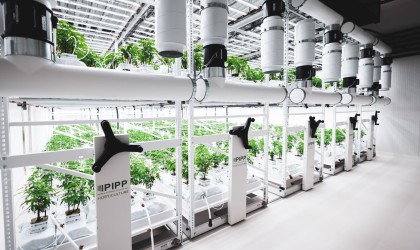 Banner - Elevating Cannabis Cultivation: The Quality Advantage of Vertical Farming